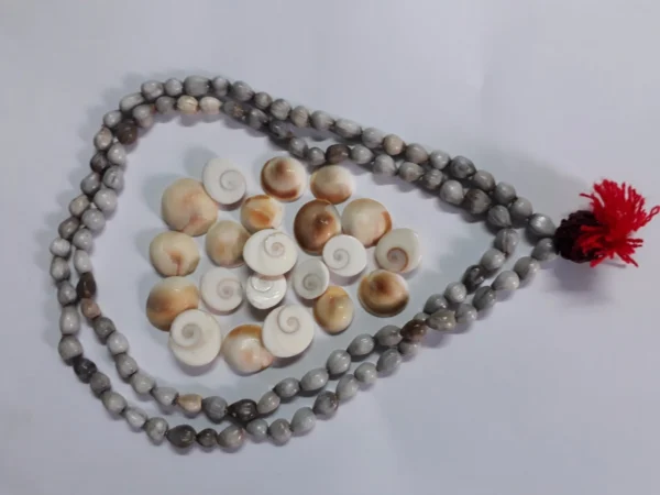 Dimraj Traders - Gomti Chakra 25 Pieces