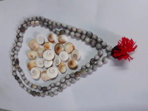 Dimraj Traders - Gomti Chakra 25 Pieces