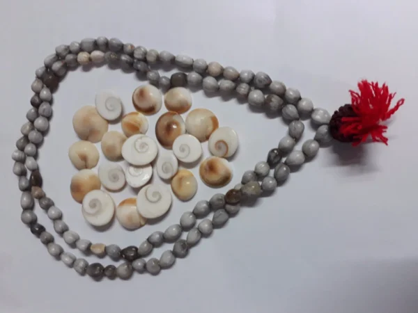 Gomti Chakra 25 Pieces