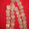 Rudraksha kantha 3 Rudraksha kantha