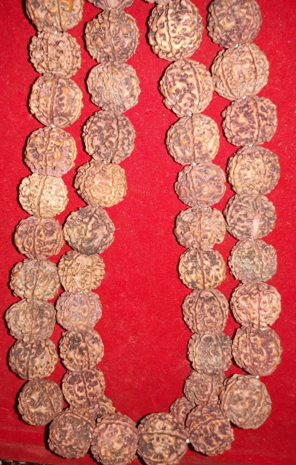 Rudraksha kantha Rudraksha kantha