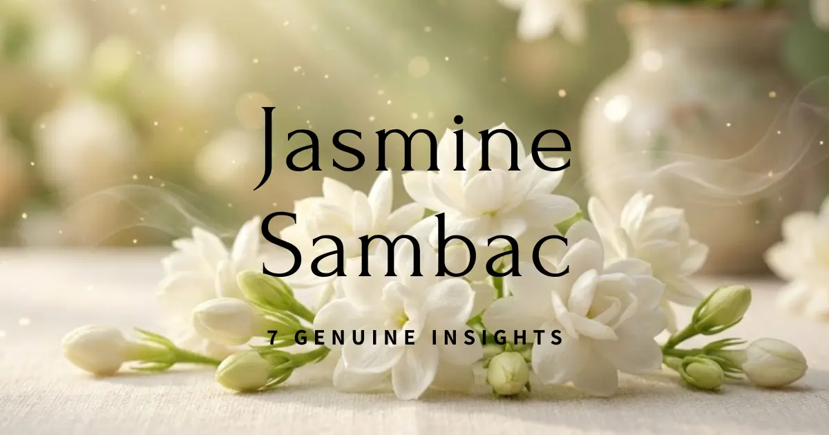 Jasmine Sambac