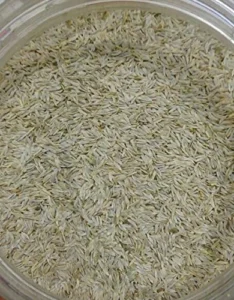 White Cumin Seeds